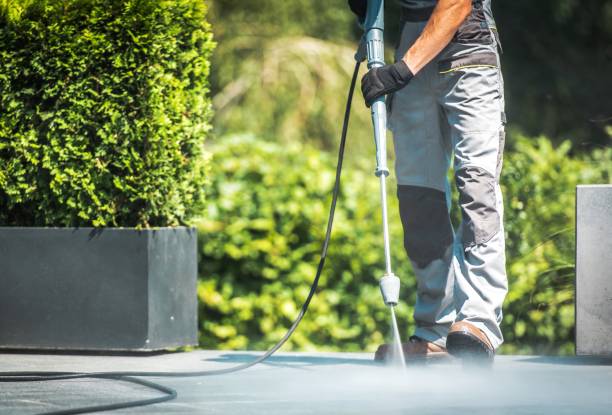 Best Pool Deck Cleaning  in Lindstrom, MN