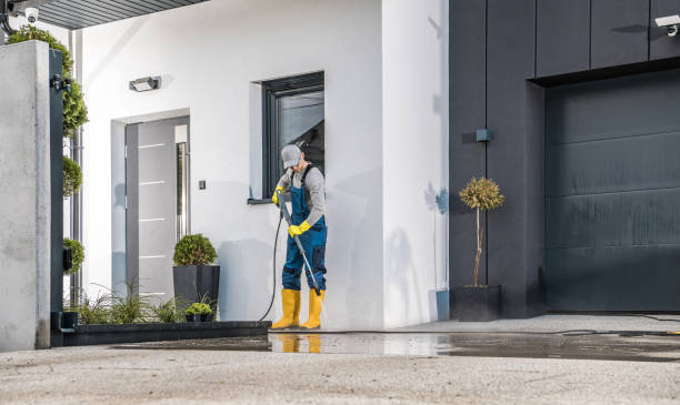Best Fleet Vehicle Washing  in Lindstrom, MN